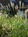 DSCF0744.jpg