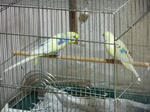 DSCF0790.jpg