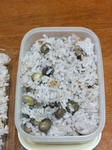 DSCF0857.jpg