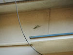 DSCF0782.jpg
