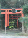 DSCF0784.jpg