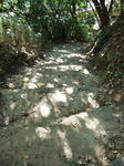 DSCF0786.jpg