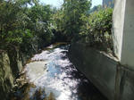 DSCF0788.jpg
