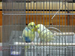 DSCF0809.jpg