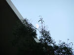 DSCF0894.jpg