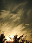 DSCF0896.jpg