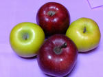 DSCF0904.jpg