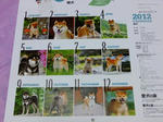 DSCF0914.jpg