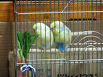 DSCF0926.jpg