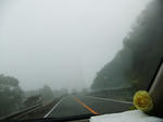 DSCF0964.jpg