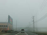 DSCF0966.jpg