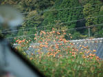 DSCF0967.jpg