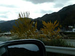 DSCF0991.jpg