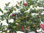 IMG_0171.jpg