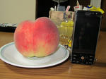 IMG_0917.JPG