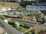 IMG_1740.JPG