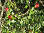 IMG_1741.JPG