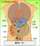 生田斗真体内メーカー