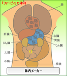 浅野忠信体内メーカー