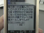 出会い系