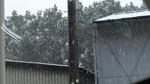 茨木　雪