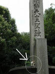 クリックで拡大しないと見えないにょ（泣