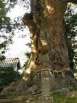 20080225_07.jpg