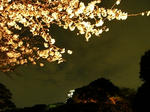 20080328_03.jpg