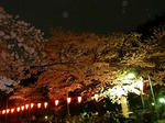 20080329_04.jpg