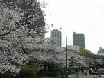 佃公園