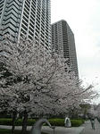 このマンション住民と旧住民の仲の悪さときたらもうｗ
