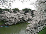 北の丸公園入ってすぐ