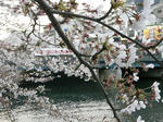 20080405_09.jpg