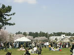 20080406_00.jpg