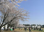 20080406_02.jpg