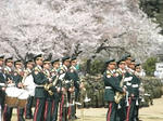 20080406_04.jpg
