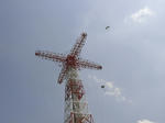 20080406_14.jpg