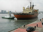20080412_01.jpg