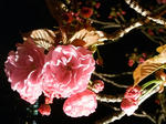 20080415_04.jpg