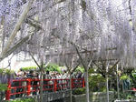 20080429_01.jpg