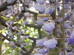 20080429_04.jpg