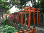 20080429_07.jpg