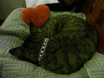 20080429_17.jpg