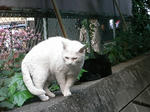 20080429_19.jpg