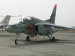 T-4