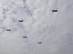 チヌークx5