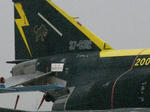 F-4 猫ちゃん（8飛）