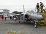 T-4