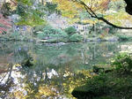 20081123_03.jpg