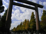20081129_04.jpg